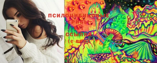 таблы Михайловск