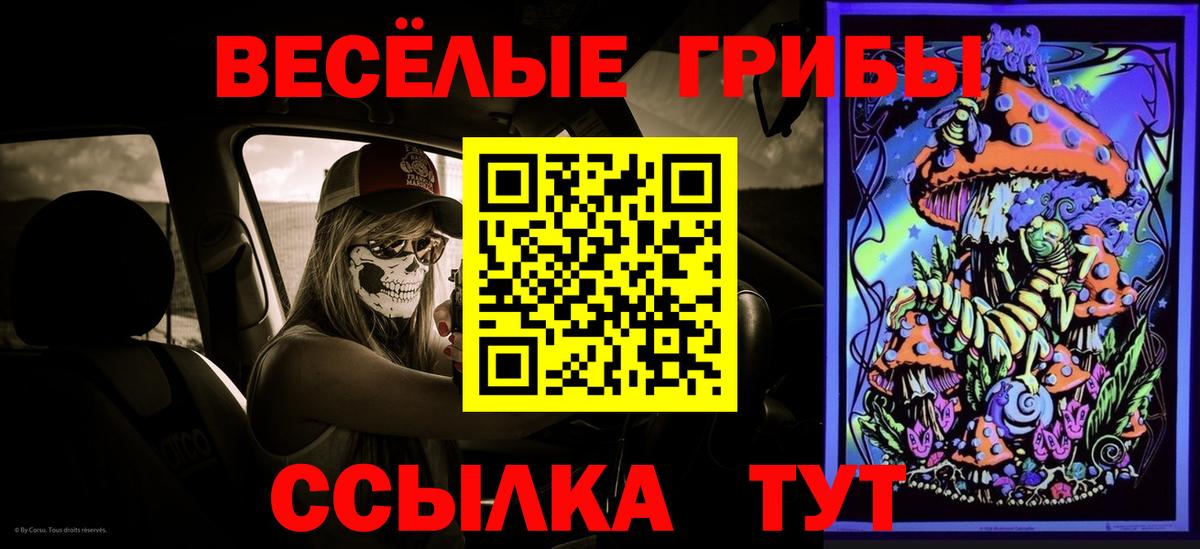 Псилоцибиновые грибы ЛСД Холмск